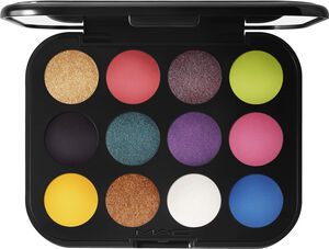 Connect In Colour Eye Shadow Palette