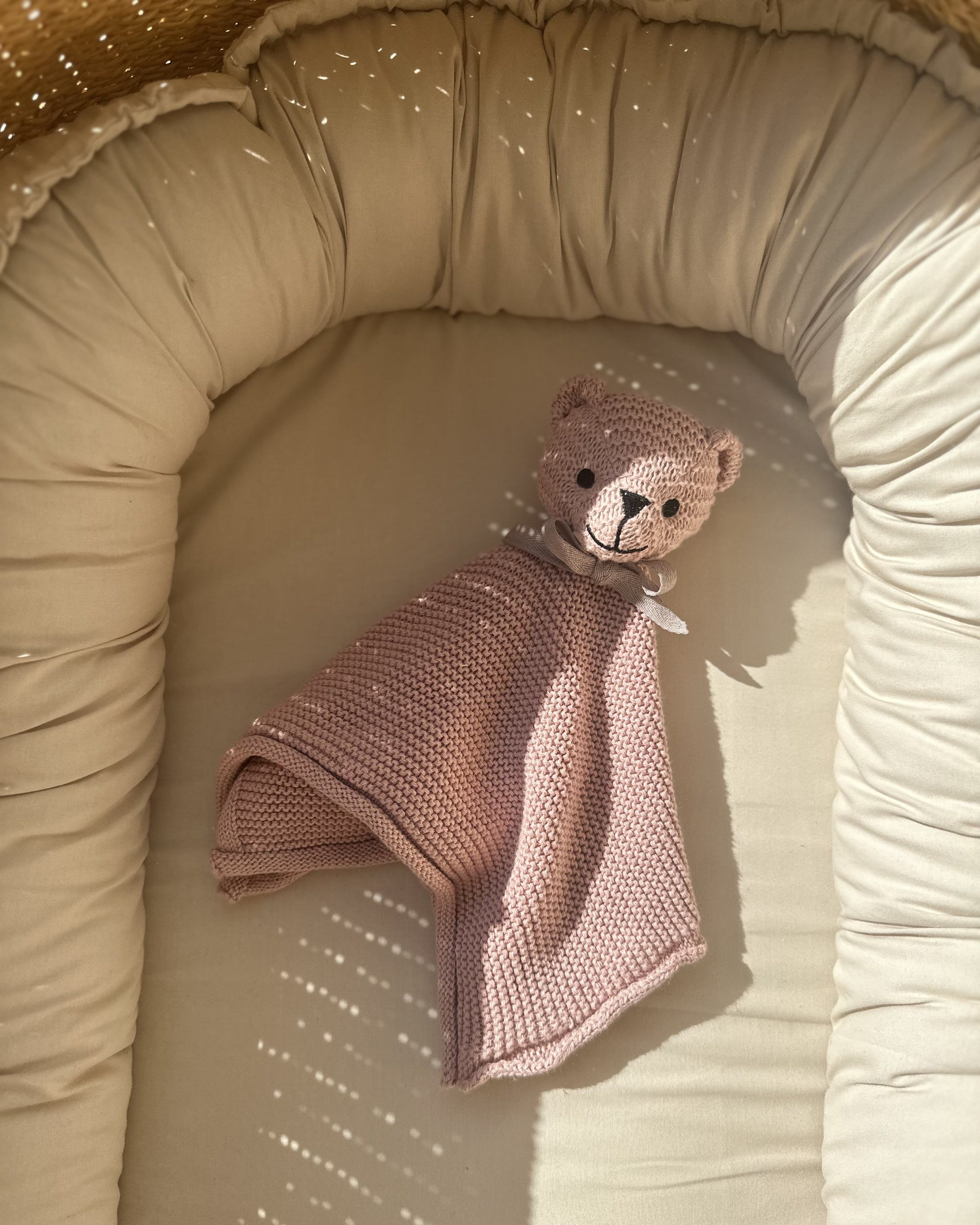 Cuddle Cloth Teddy