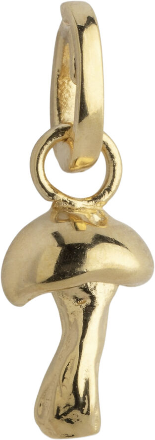 Charm, Adventurous Mushroom