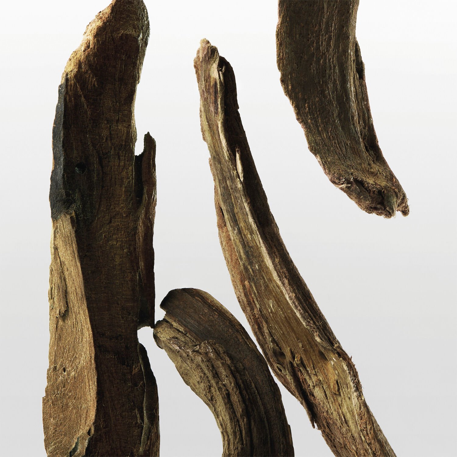 ck One Essence Eau de parfum 50. 0 ML