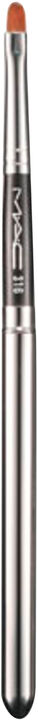 Brushes - 316 Lip/ Covered
