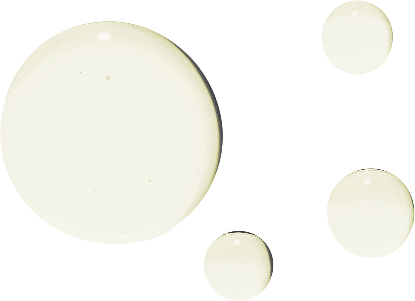 The Geranium Rose Body Oil