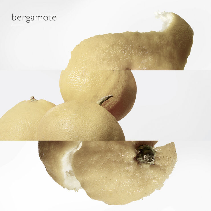 Le Jardin de Monsieur Li Eau de Toilette