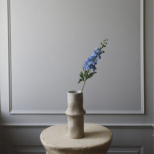 Delphinium Flower