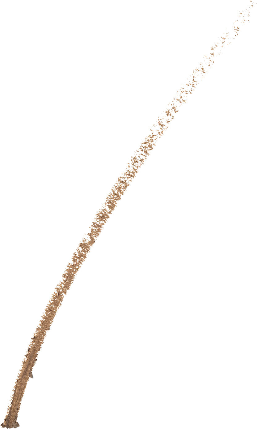 Brow Now Brow Defining Pencil