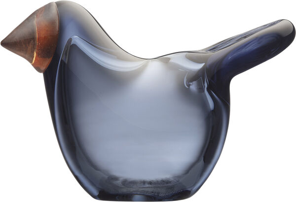 Bird by T Fluesnapper regn/rød