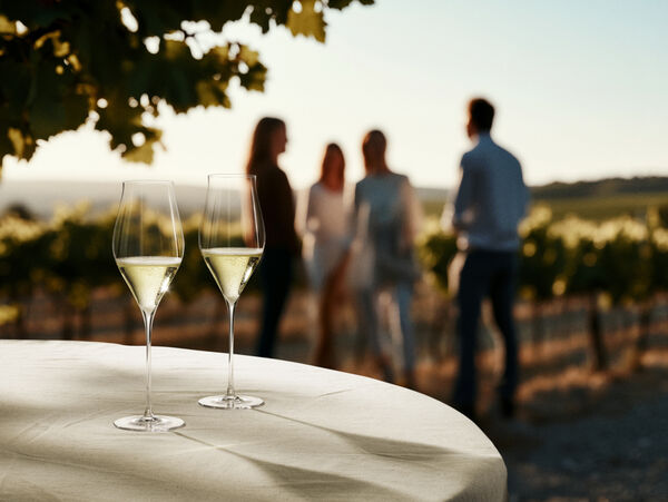 Notes Champagneglas 38 cl klar 2 stk.