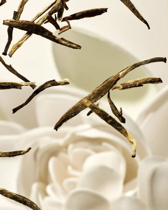 The Ritual of Karma - Medium Julegaveæske