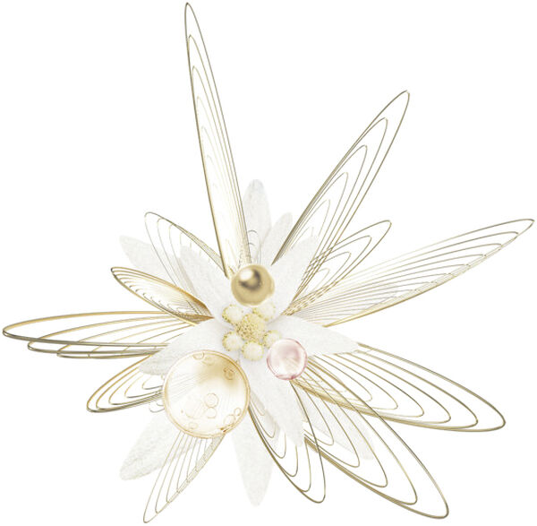 Prodigy Cellglow Anti-Aging Cream