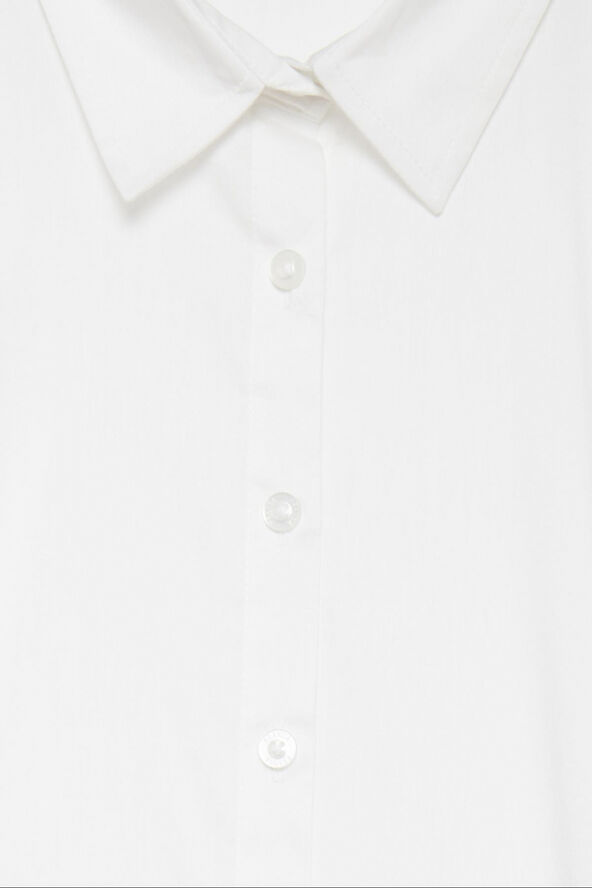 Zashirt 1 shirt solid