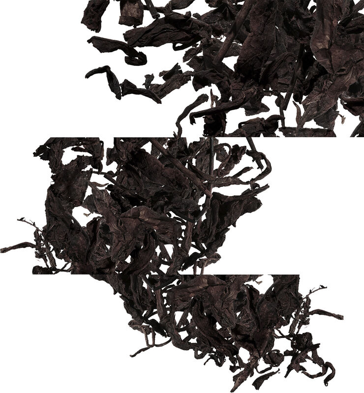 Eau de citron noir Eau de Cologne