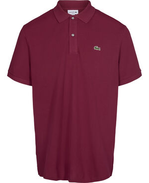 SHORT SLEEVED RIBBED COLLAR SHIRT