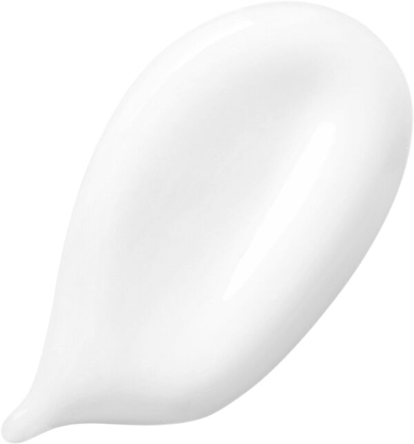 Discipline Fondant Fluidealiste 200 ml.