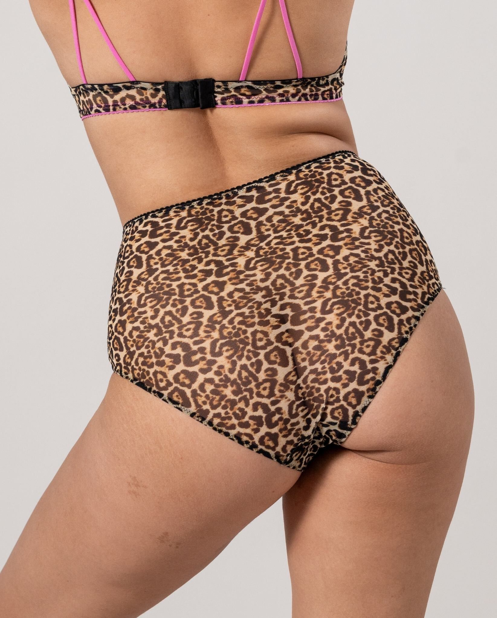 Mesh Highwaist Briefs