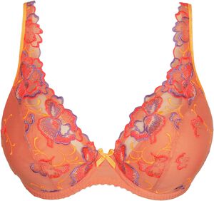 Devdaha half padded plunge bra