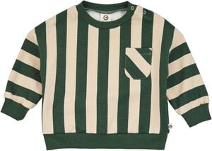 Stripe Sweatshirt Baby