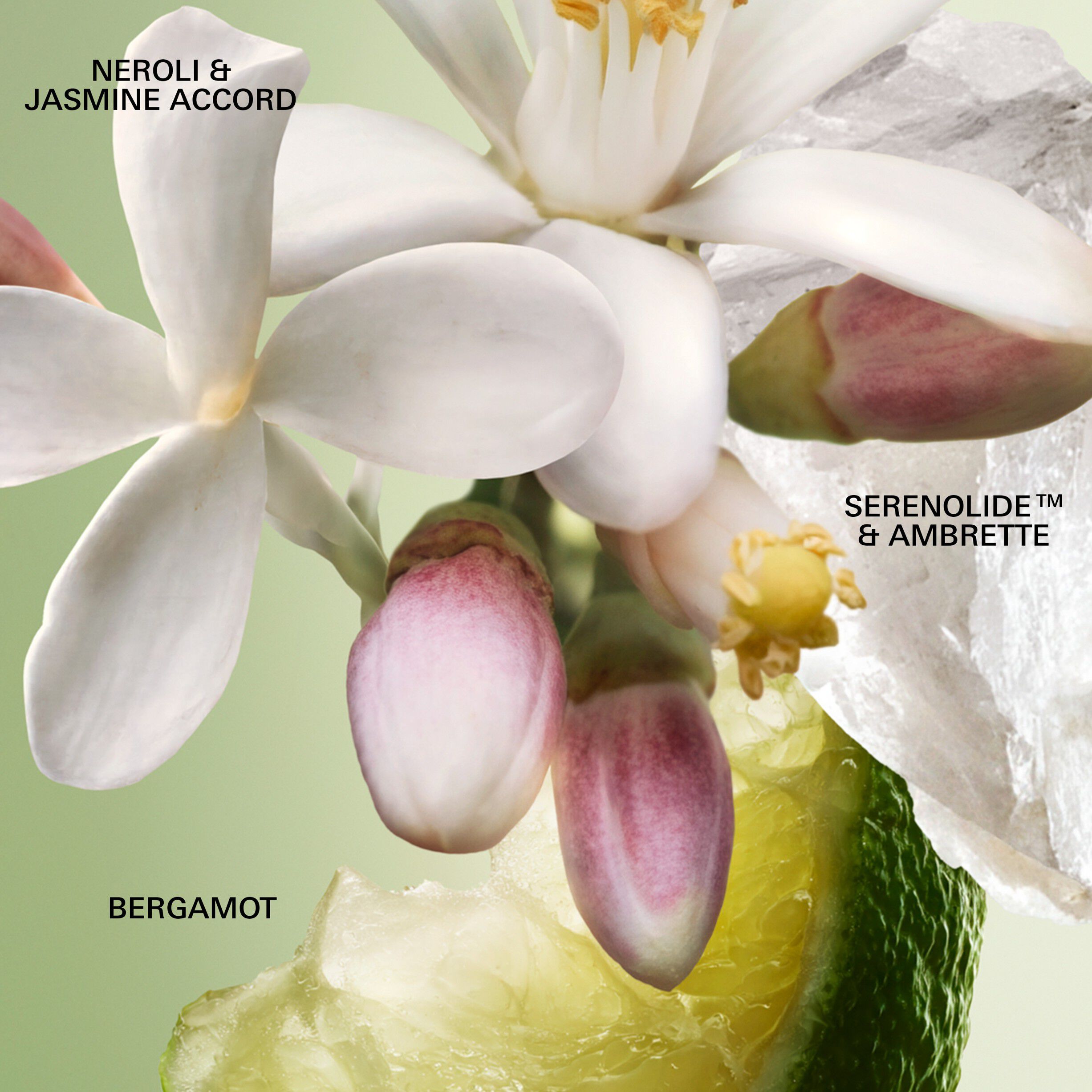 PR PARADOXE FLORAL REFILL B100ML