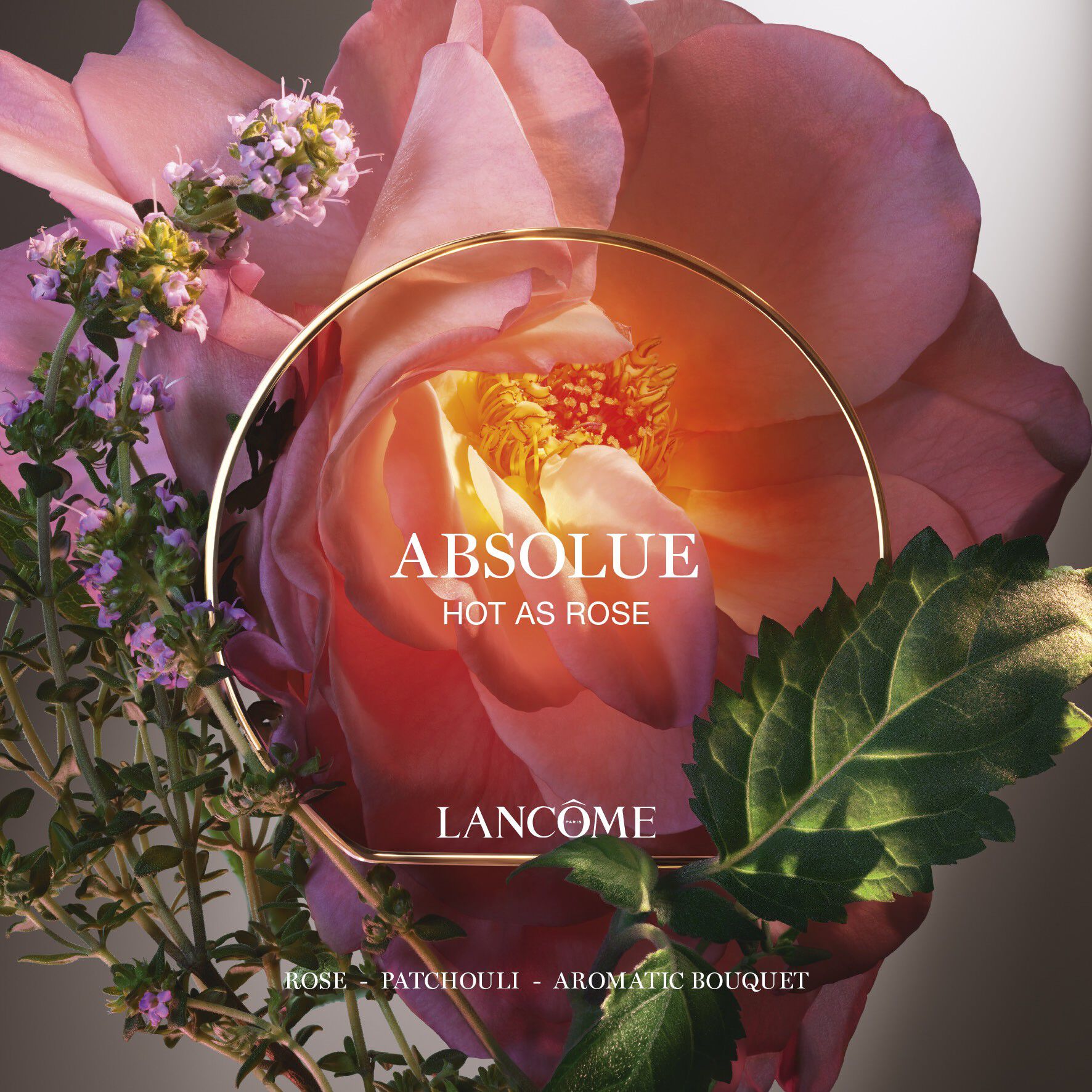 Absolue Les Parfums HOT AS ROSE Eau de Parfum