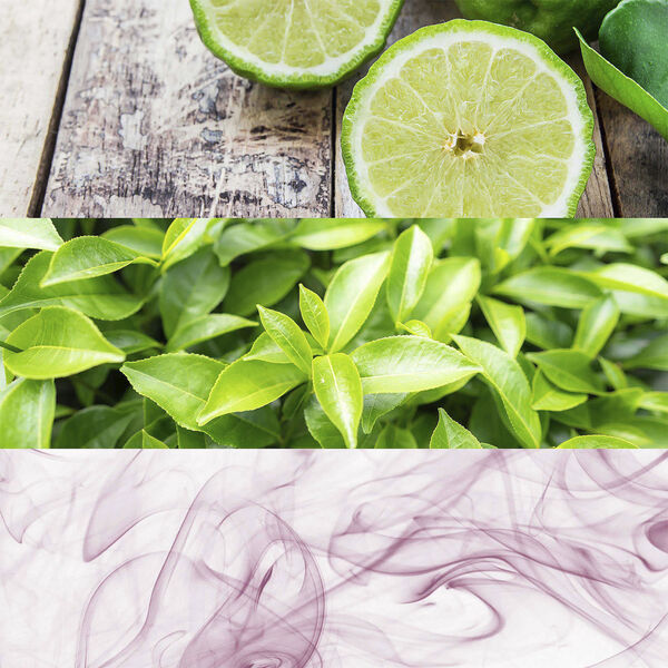 CK One Deodorant Spray 150 ml.