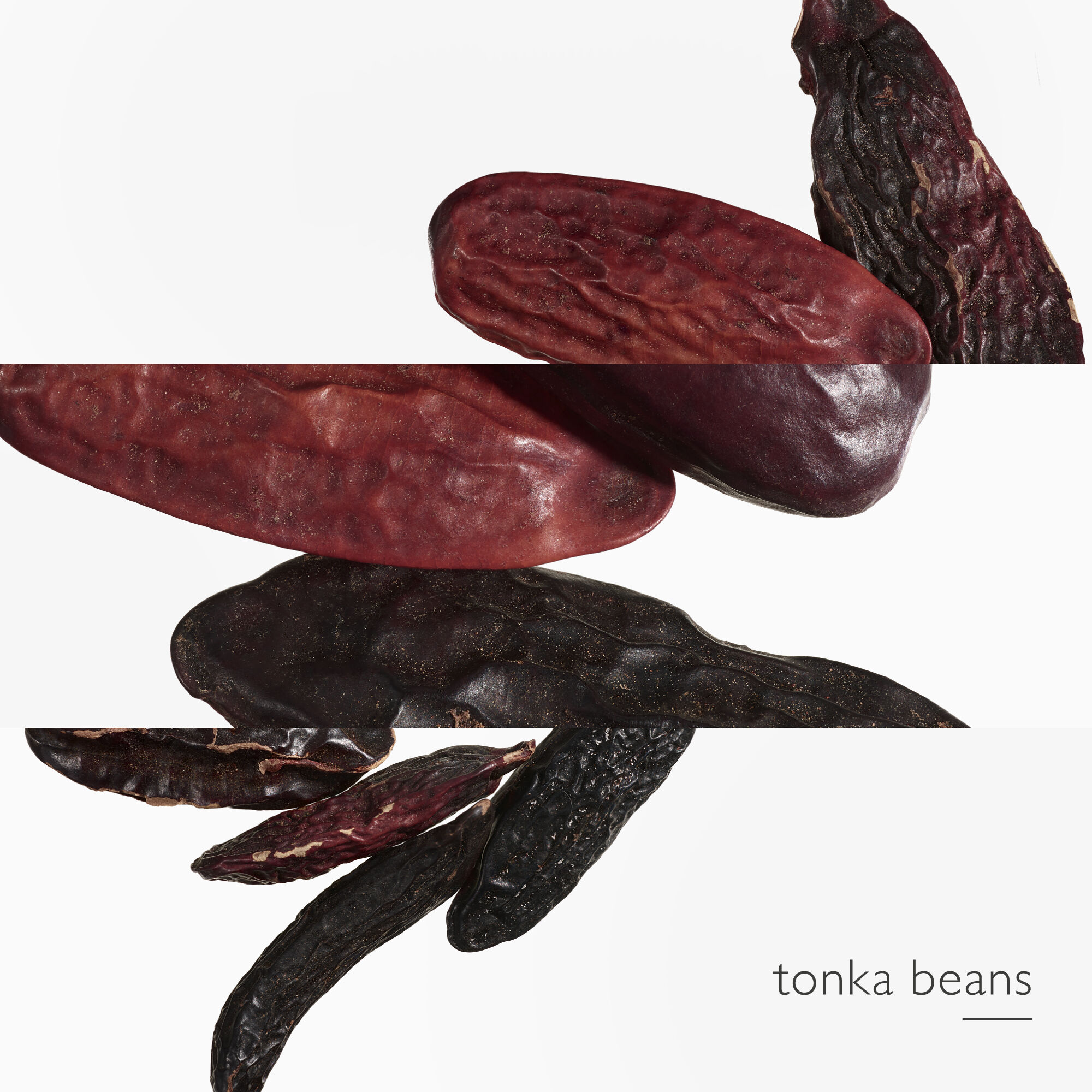 L'OMBRE DES MERVEILLES EAU DE PARFUM