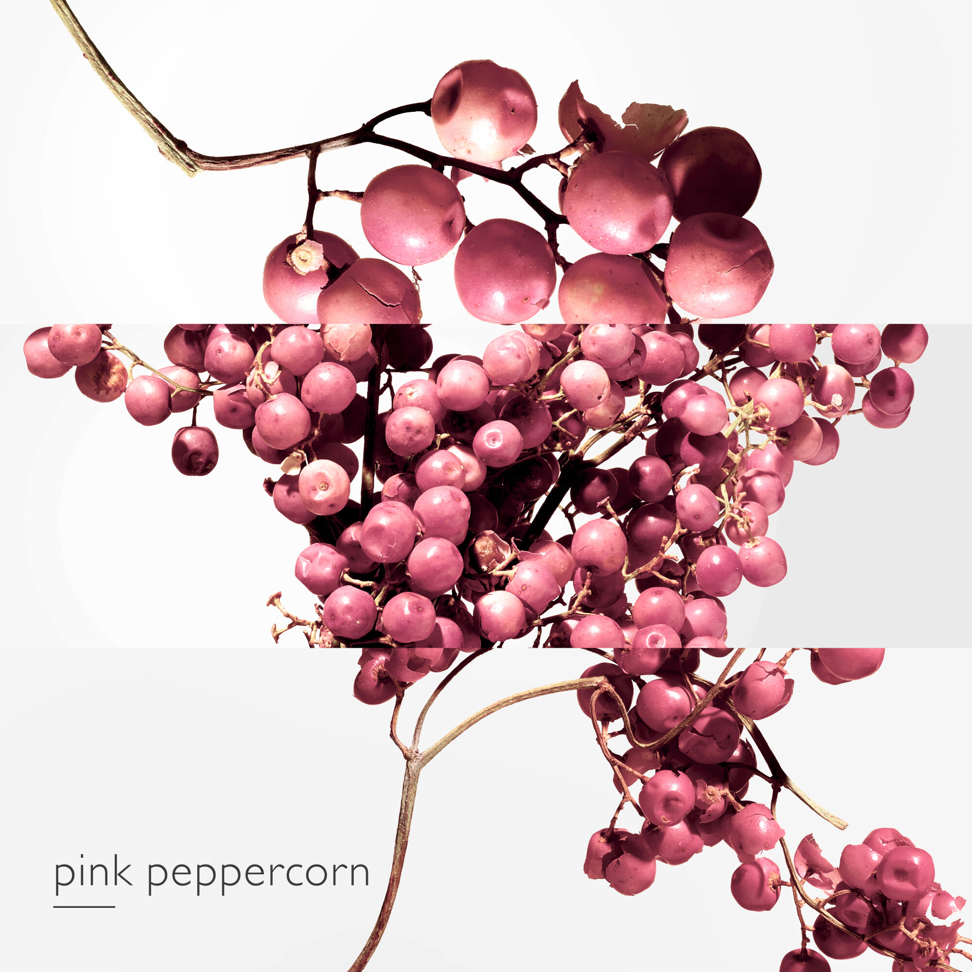 TWILLY D'HERM&Egrave;S EAU POIVR&Eacute;E EAU DE PARFUM