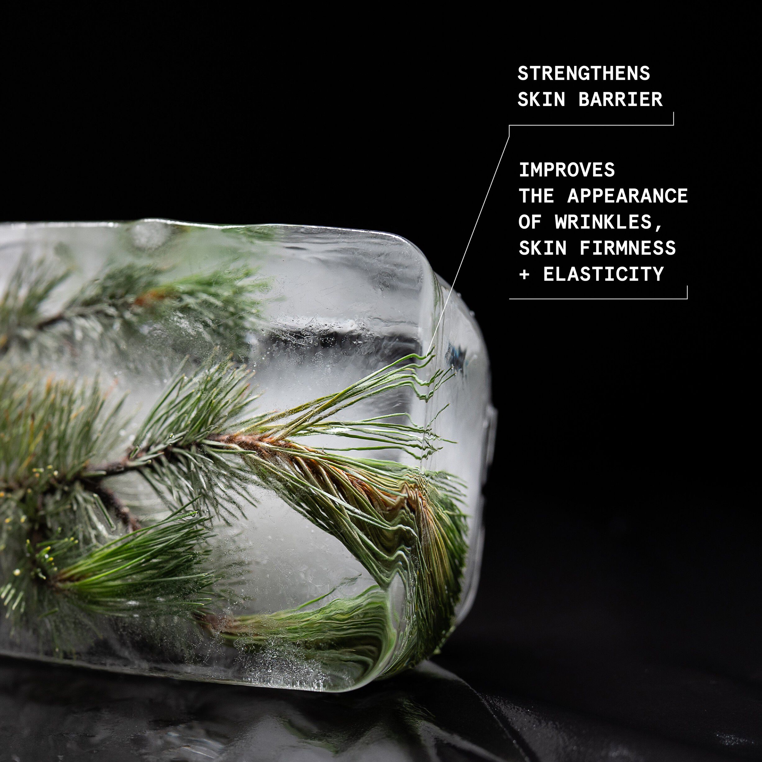 Black Pine Plump-Up Sleeping Facial