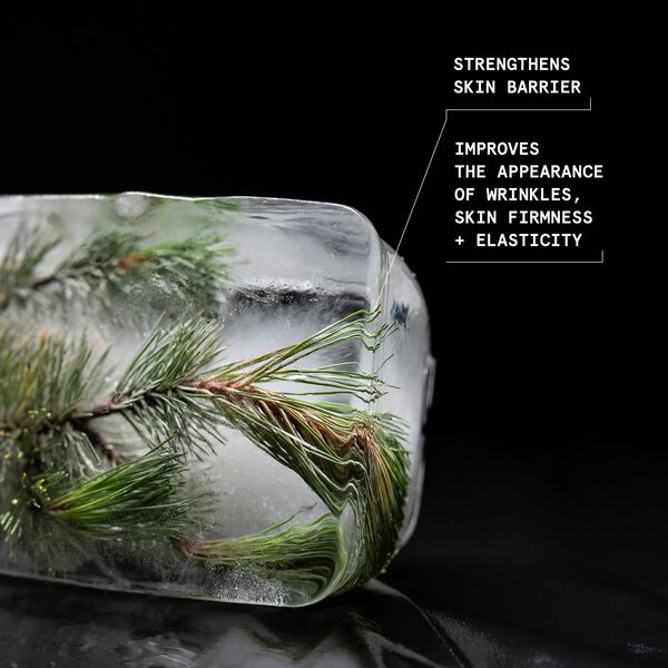 Black Pine Plump-Up Sleeping Facial