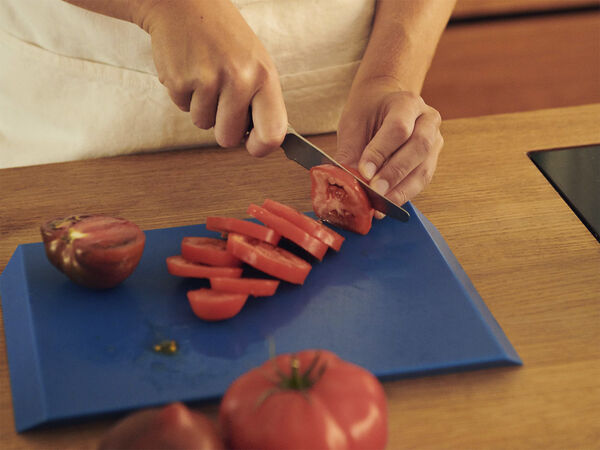 Veark Chopping board Poly / Blue/ M