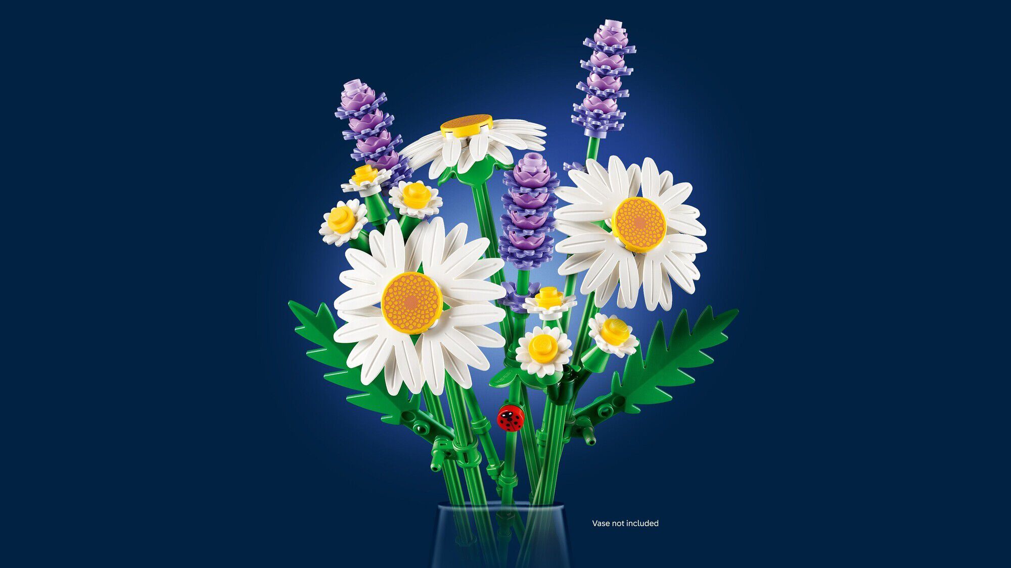 Margueritter 11508