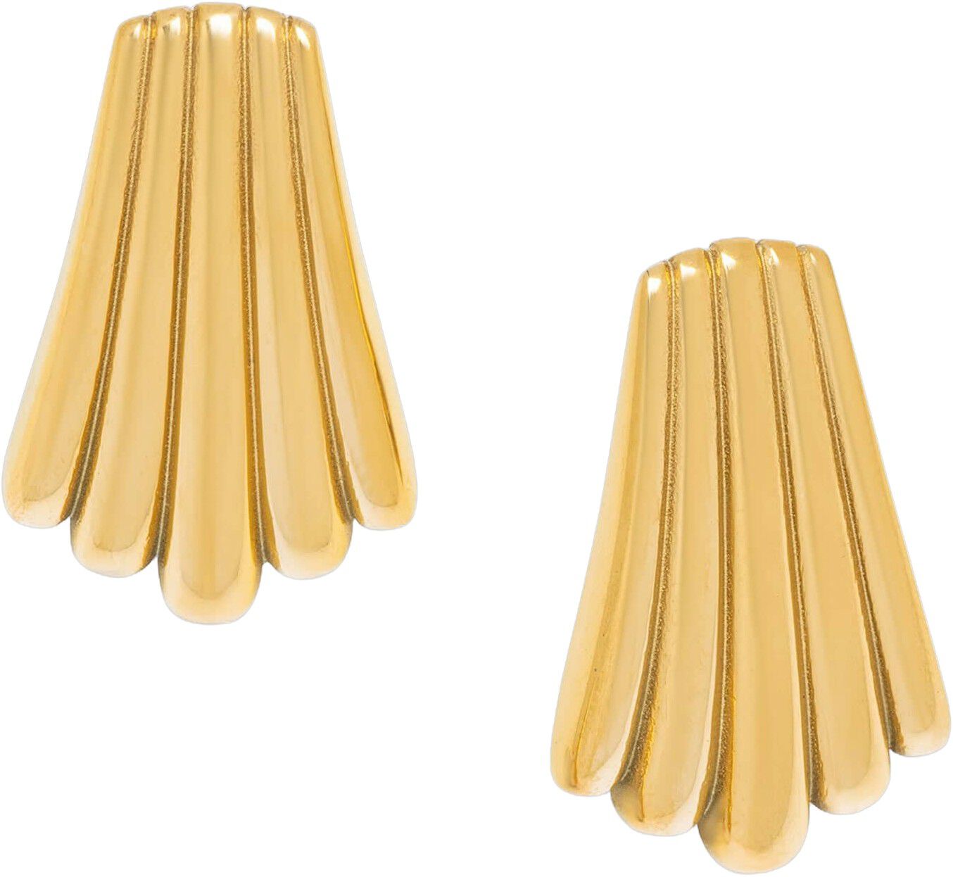 Women's Gold Calico Shell Earrings