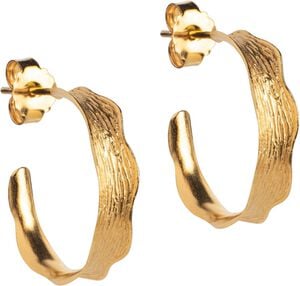 Hoops, Ane Small
