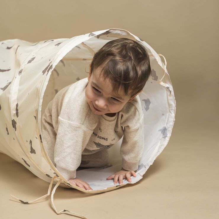 Theo aktivitetstunnel