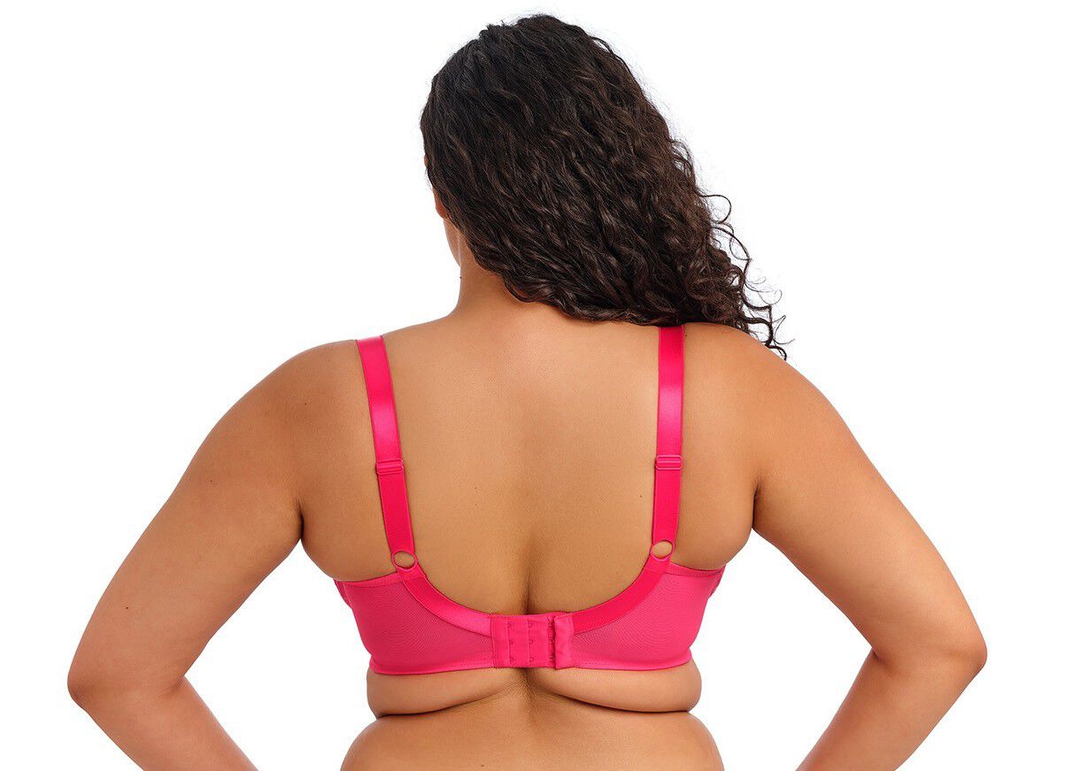 DARCIE UW PLUNGE BRA