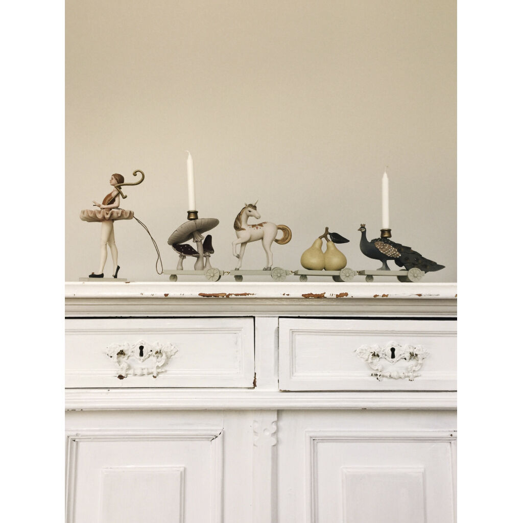 F&oslash;dselsdagstog