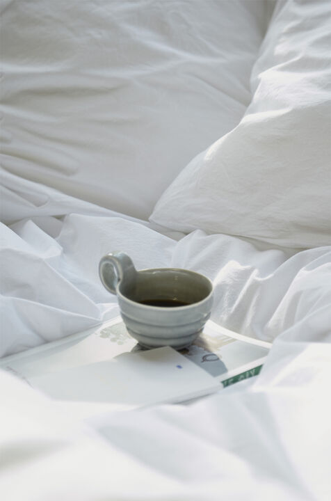 Fossflakes Winter Duvet