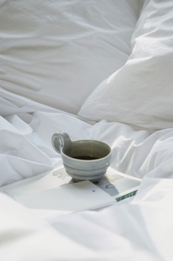 Fossflakes Winter Duvet