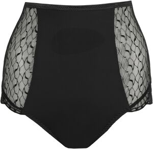 Naica special briefs