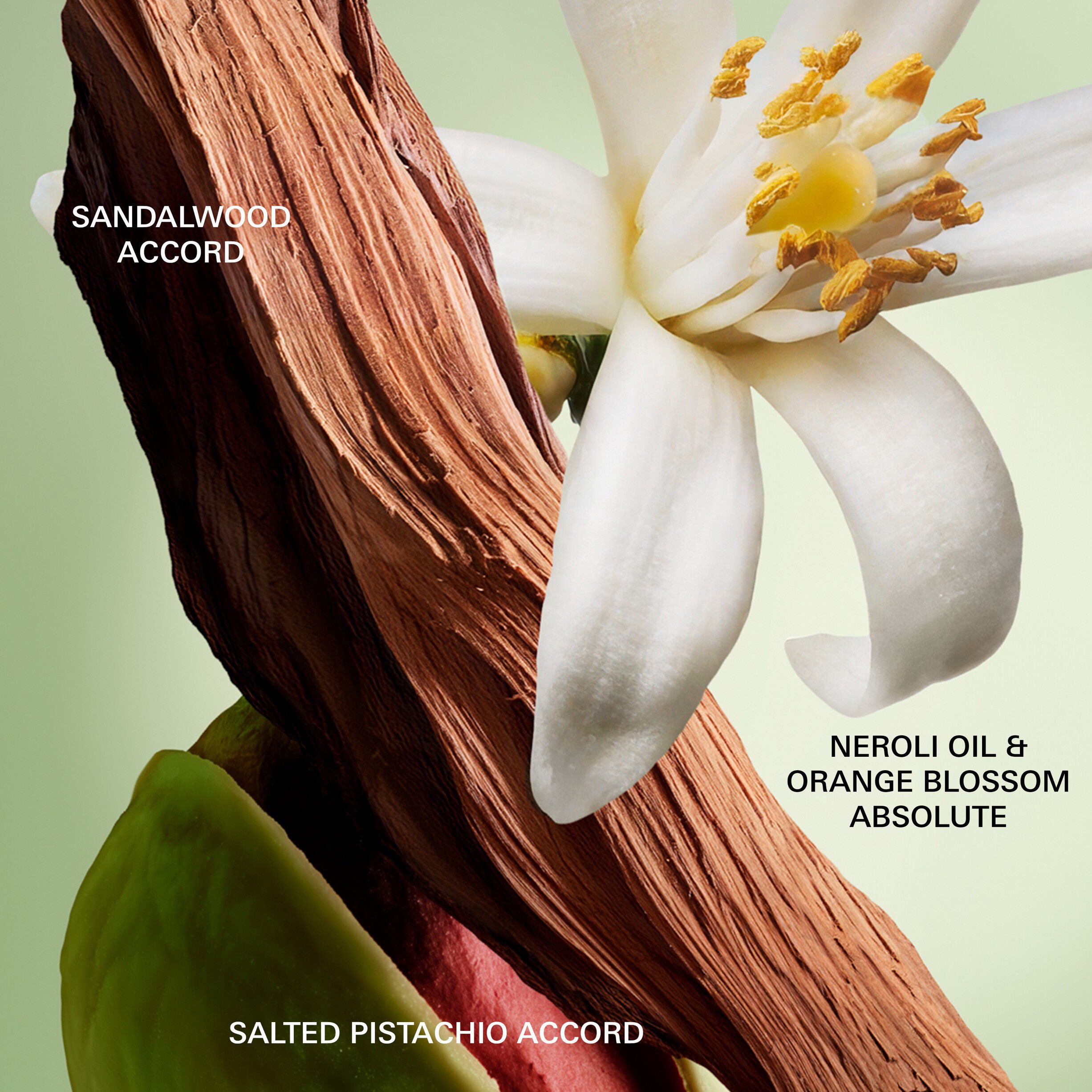 Paradoxe Radical Essence Eau de Parfum