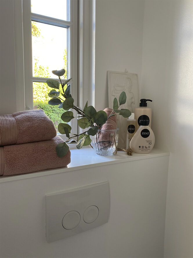 Zenz Organic Menthol 10 Shampoo 250 ML