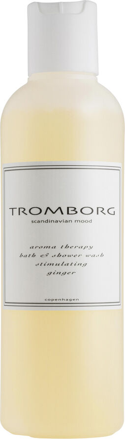 Aroma Therapy Bath & Shower Wash Ginger