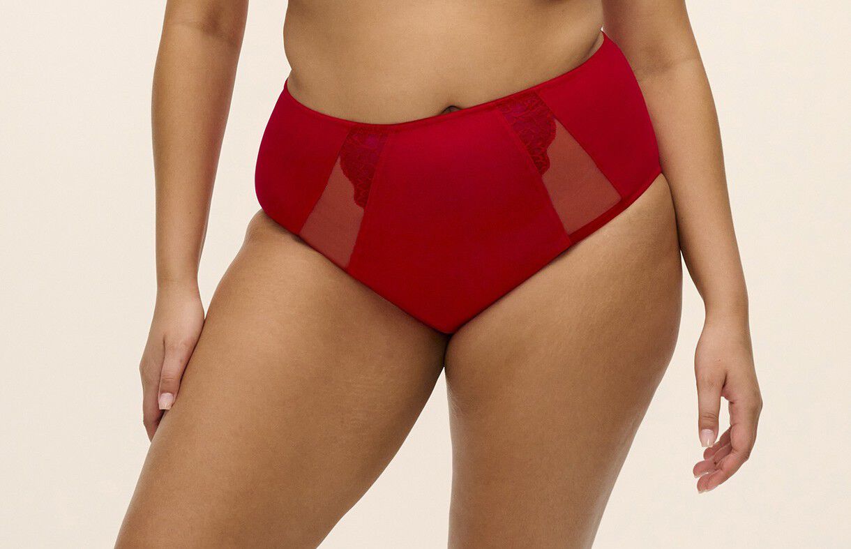 BRIANNA FULL BRIEF