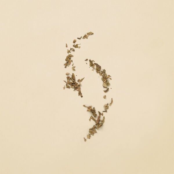 Guilty Revolution Eau De Parfum