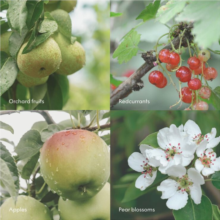 FJORD Wash Refill 1000ml