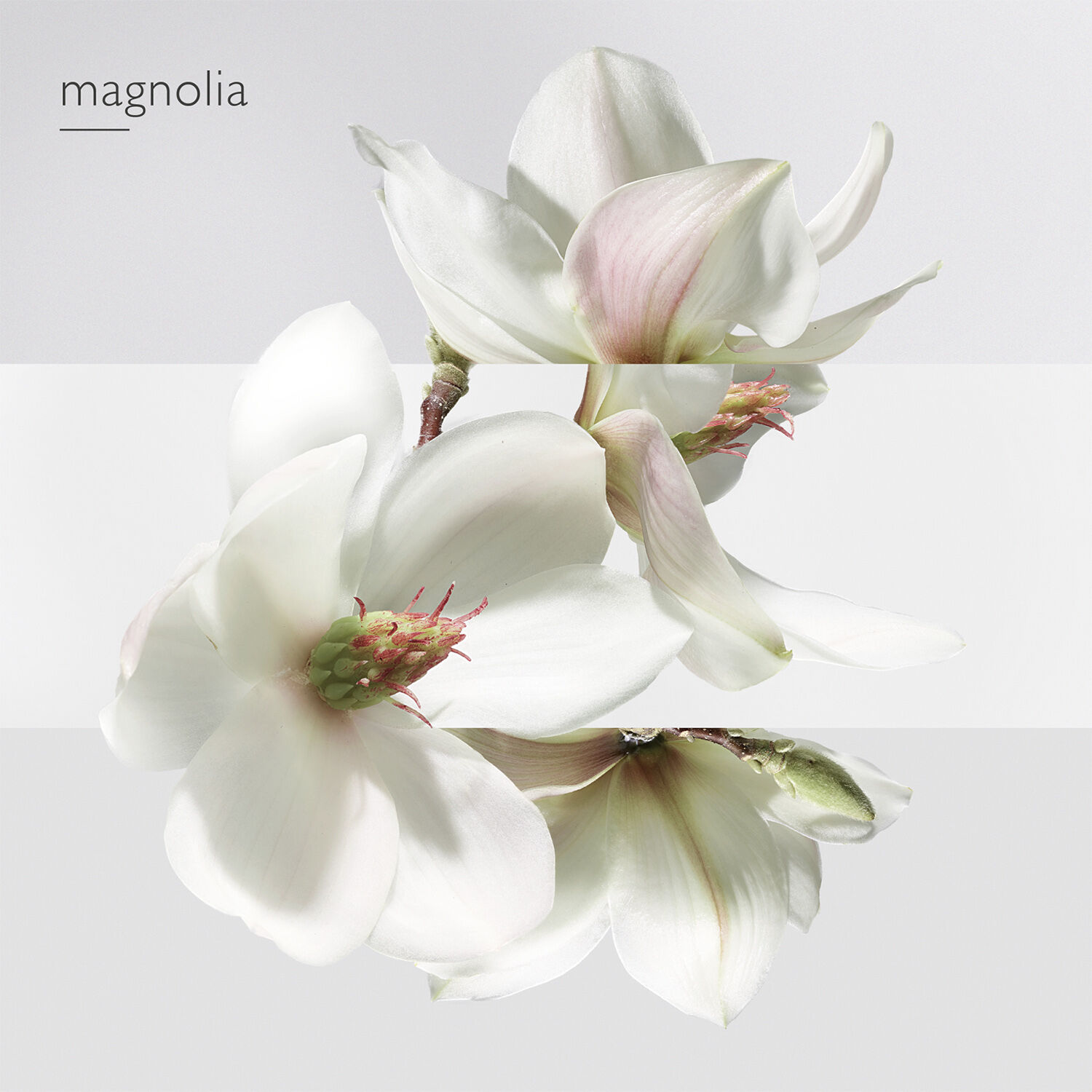 Un Jardin Sur la Lagune Eau de toilette