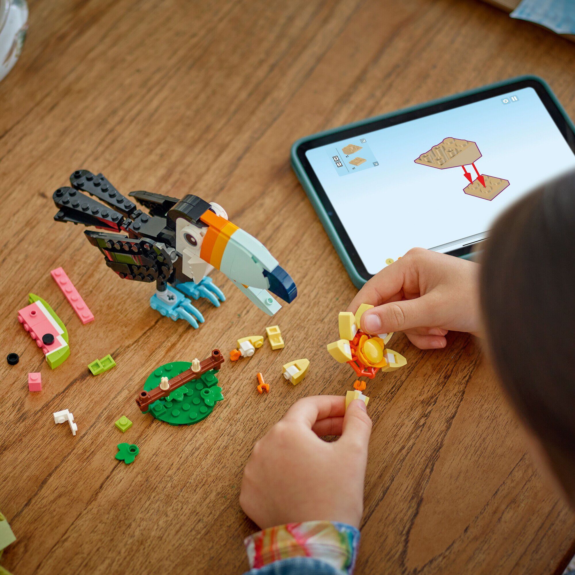 Vilde dyr - Tropisk tukan 31173