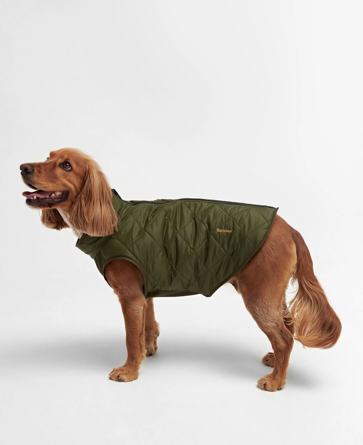 Barbour Borg Fleece