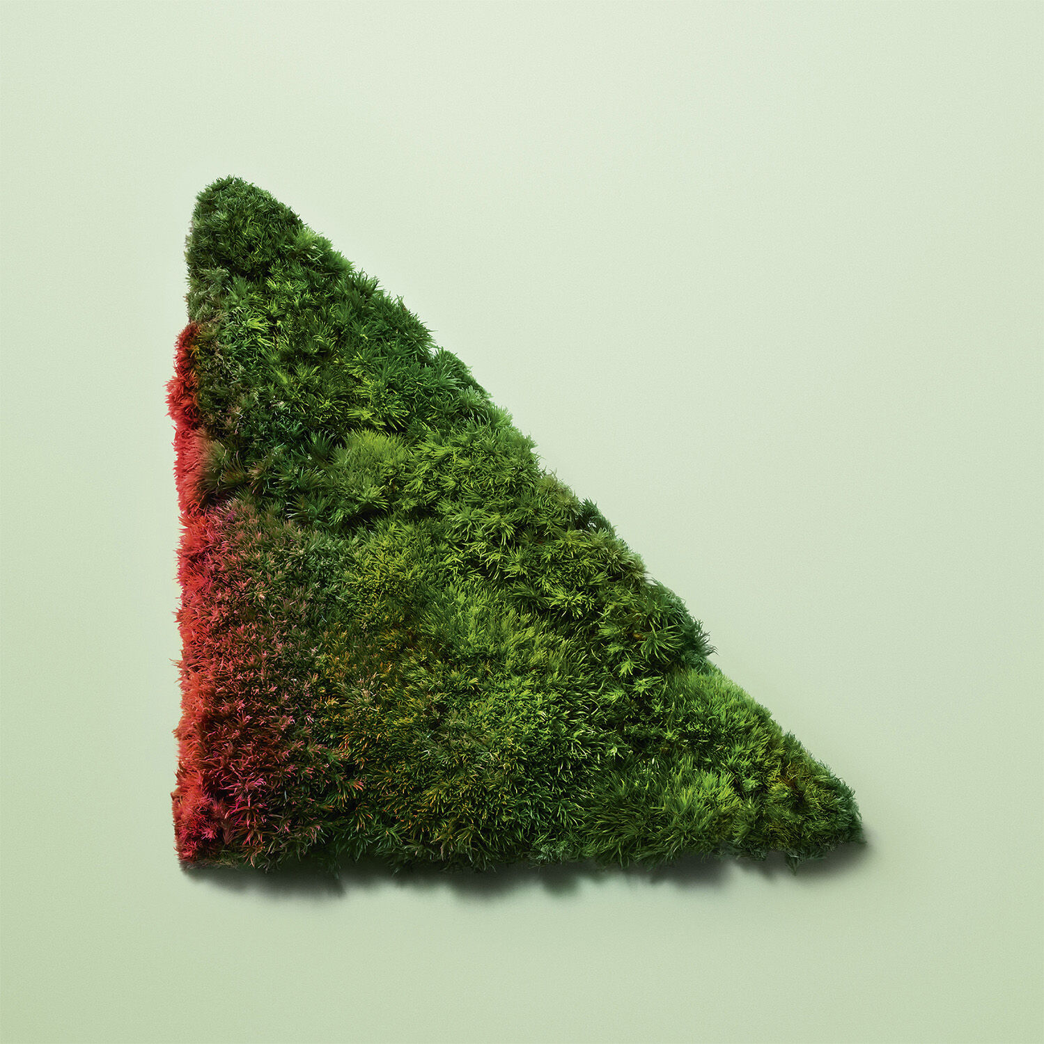 Paradoxe Intense Eau de Parfum