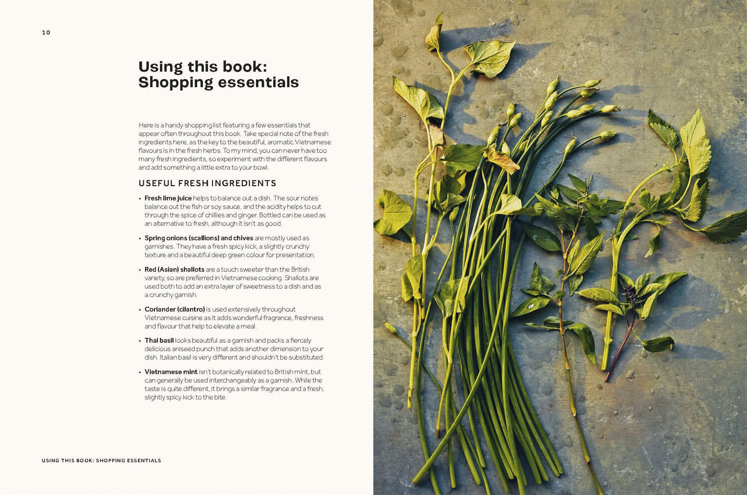 Vietnamese Made Easy