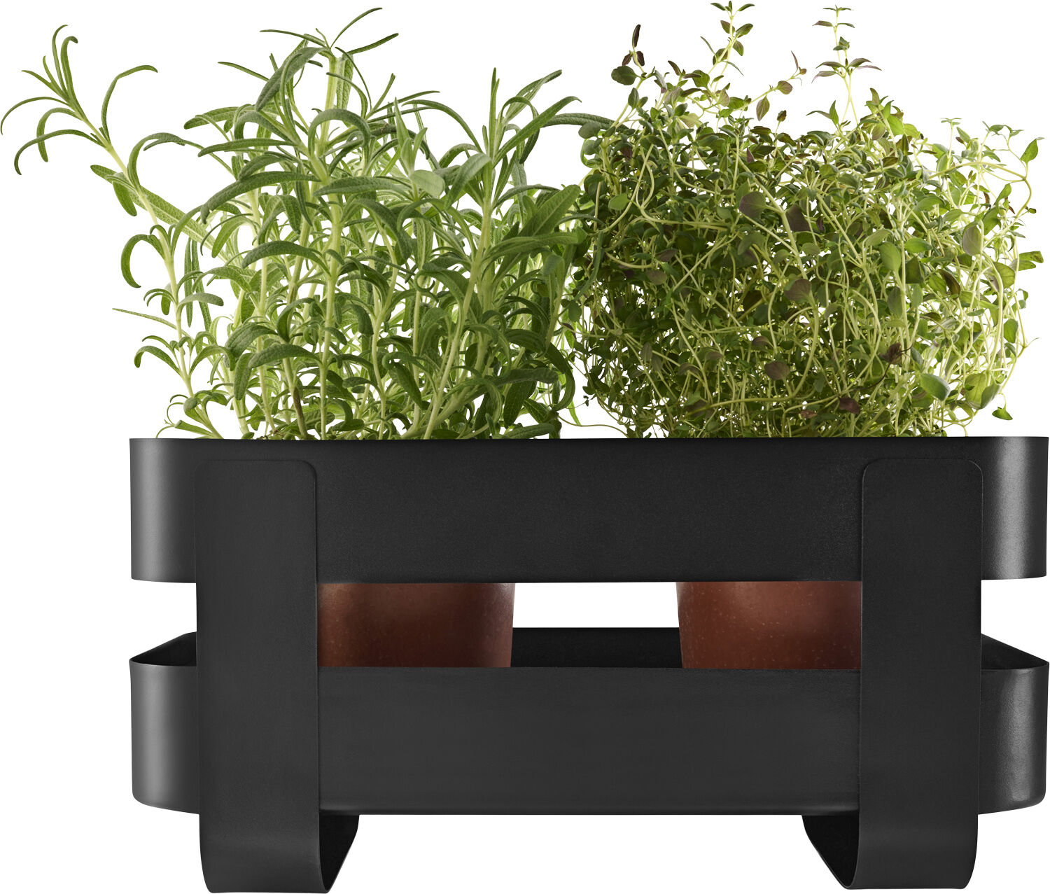 Selvvandende Herb organiser st&aring;l Black