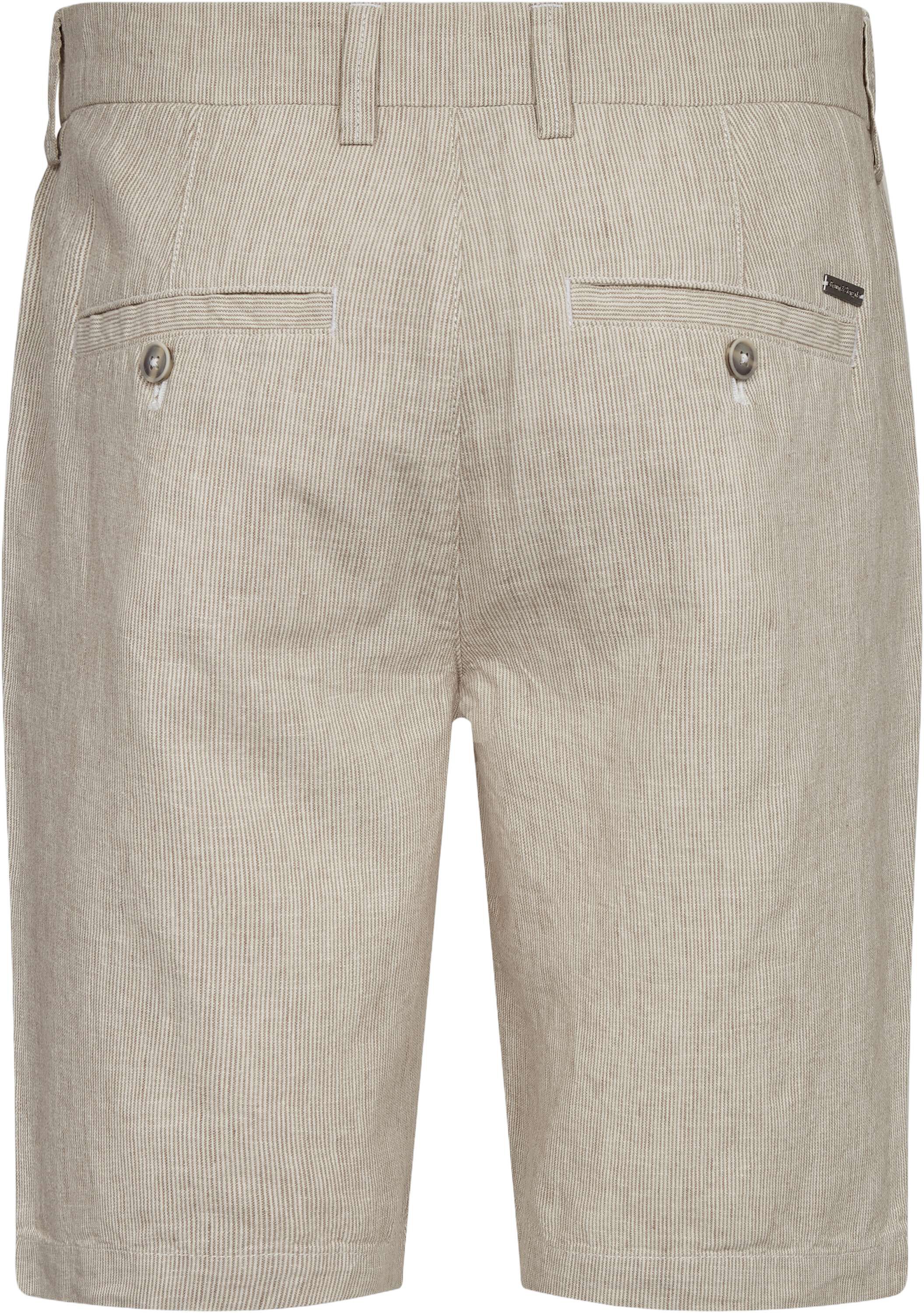 BS Darion Regular Fit Shorts